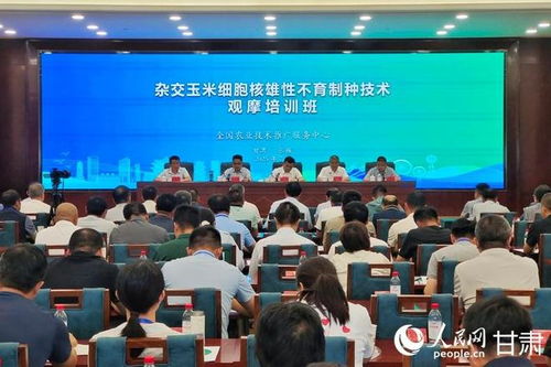 雜交玉米細(xì)胞核雄性不育制種技術(shù)觀摩培訓(xùn)會(huì)在甘肅張掖成功舉辦，助力技術(shù)推廣與服務(wù)提升